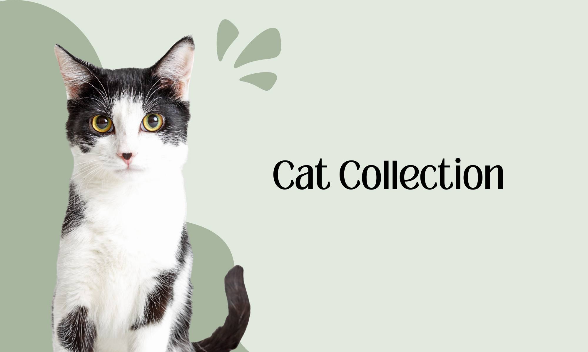 Cat Collection