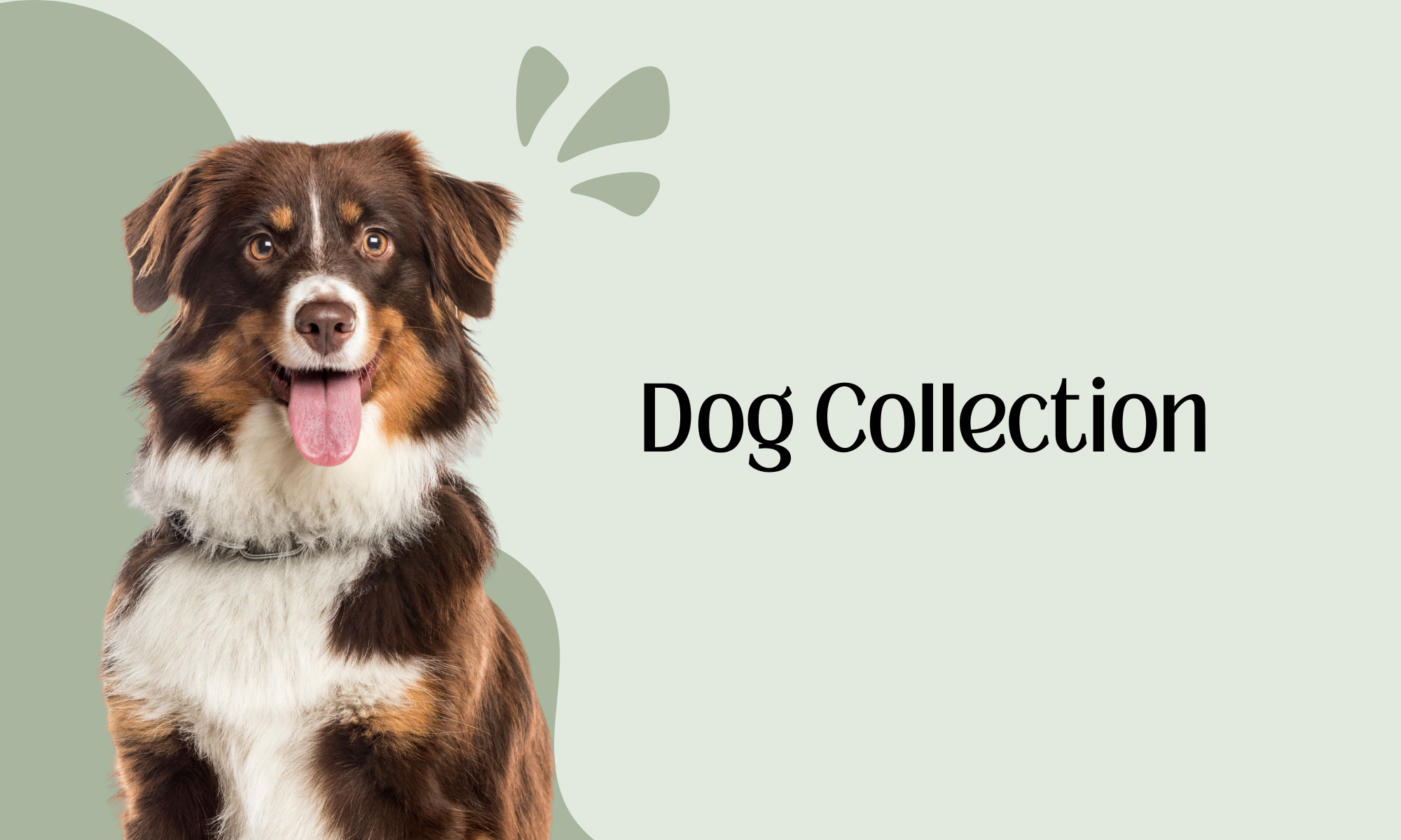 Dog Collection
